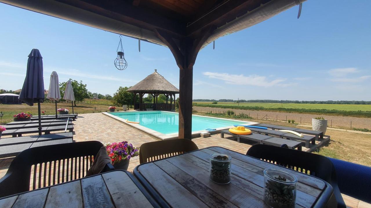 Tisza White House Tiszaszolos